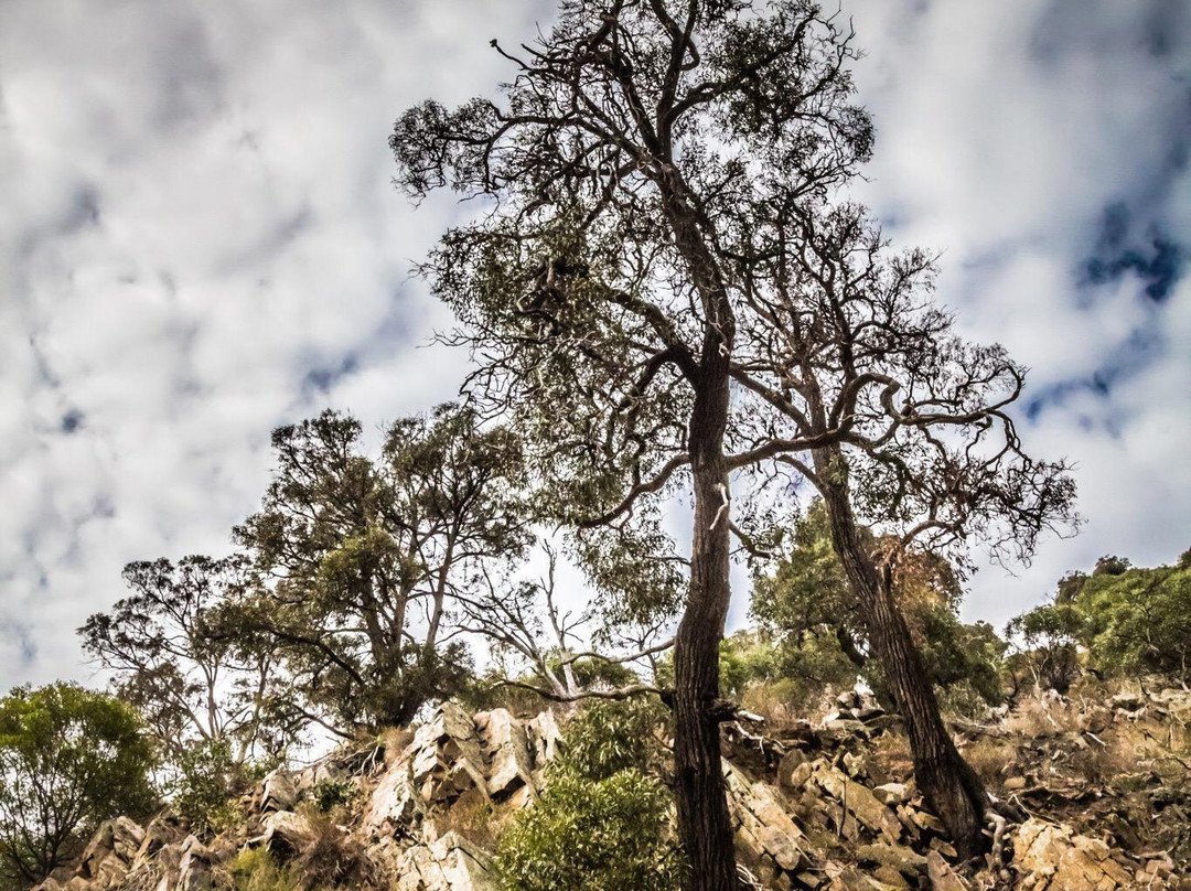 Brisbane Ranges National Park-维多利亚必去景点