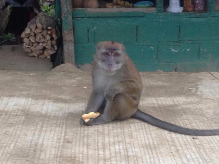 New Israel Eco Park-Cotabato City必去景点