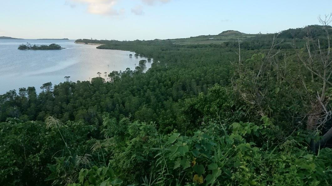 Mangrove at Ishinagata Beach景点图片