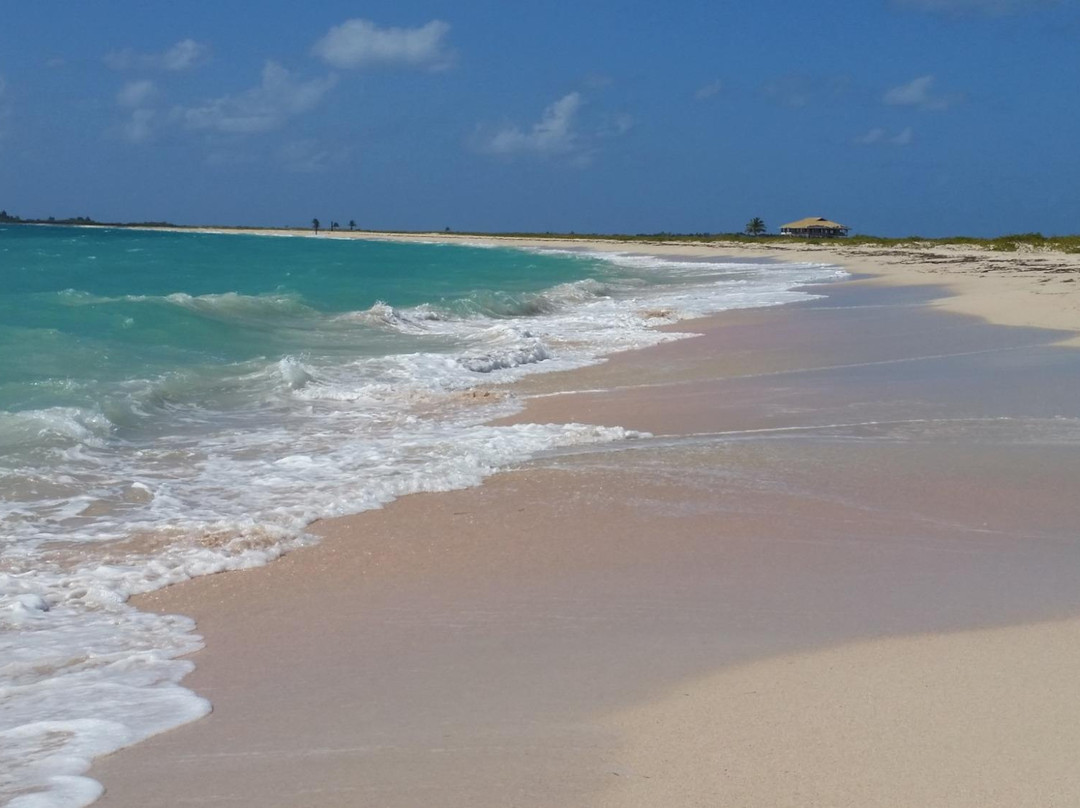 Pink Sand Beach-巴布达必去景点