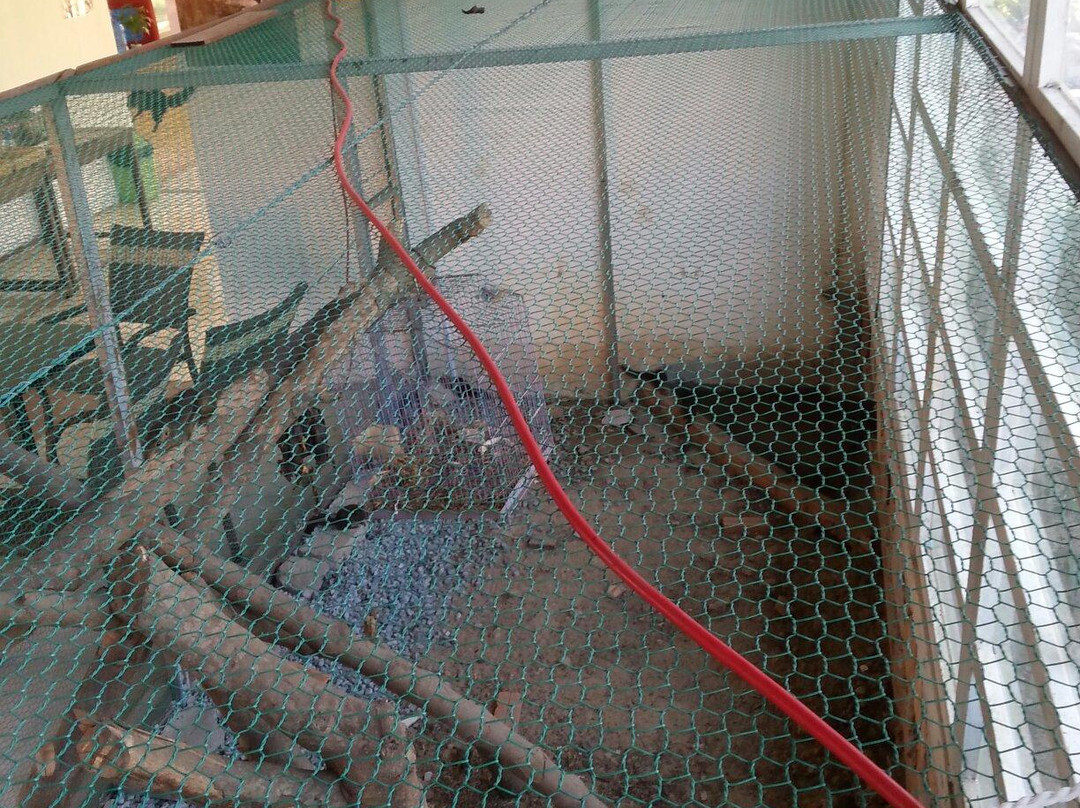 Tep Apsara Beach Guesthouse主图