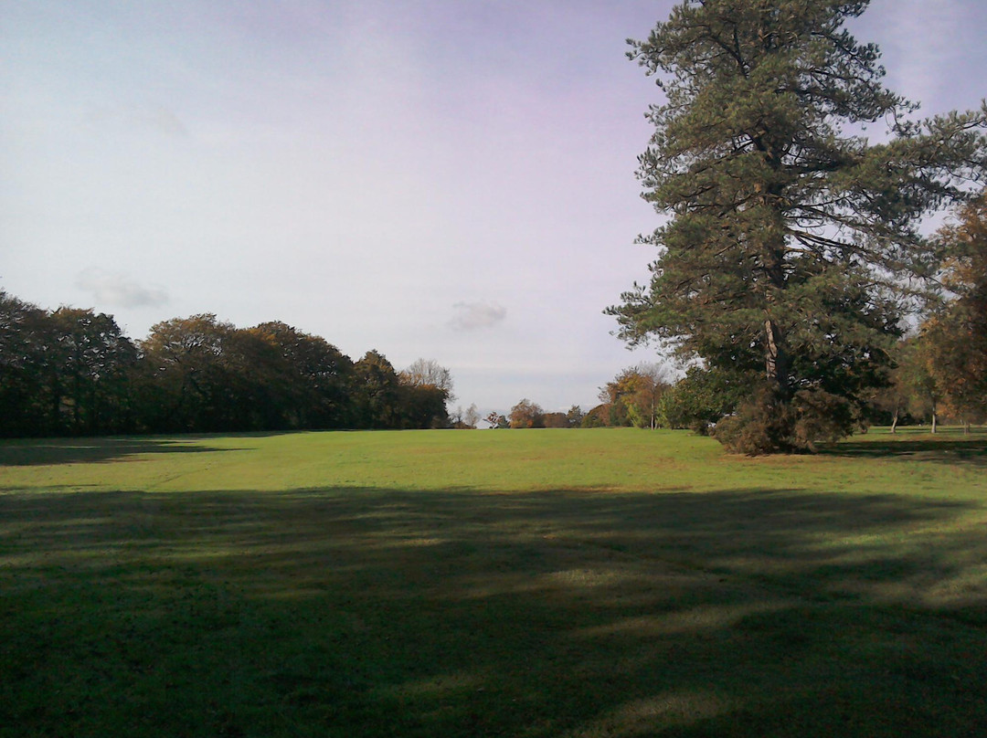 Honiton Golf Club-Honiton必去景点