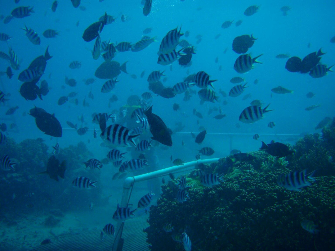 Seawalker Tours-Piti必去景点