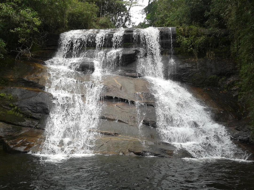 Bananal旅游攻略图片