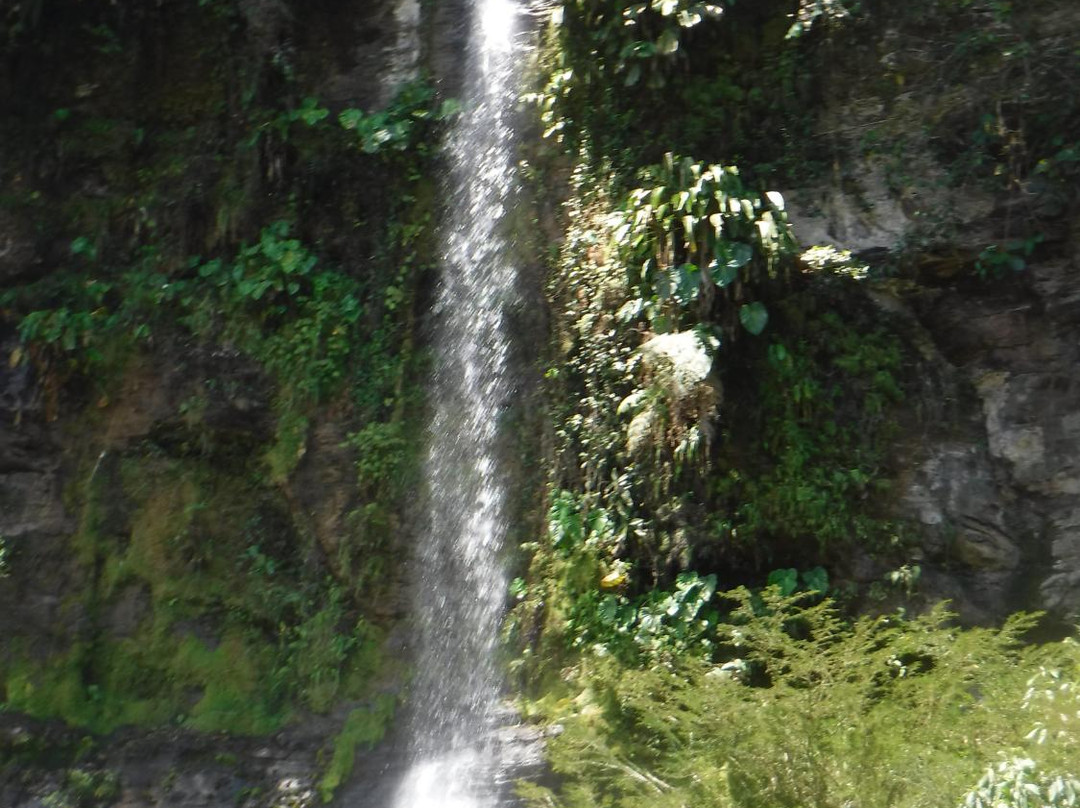Jondachi River-Tena必去景点