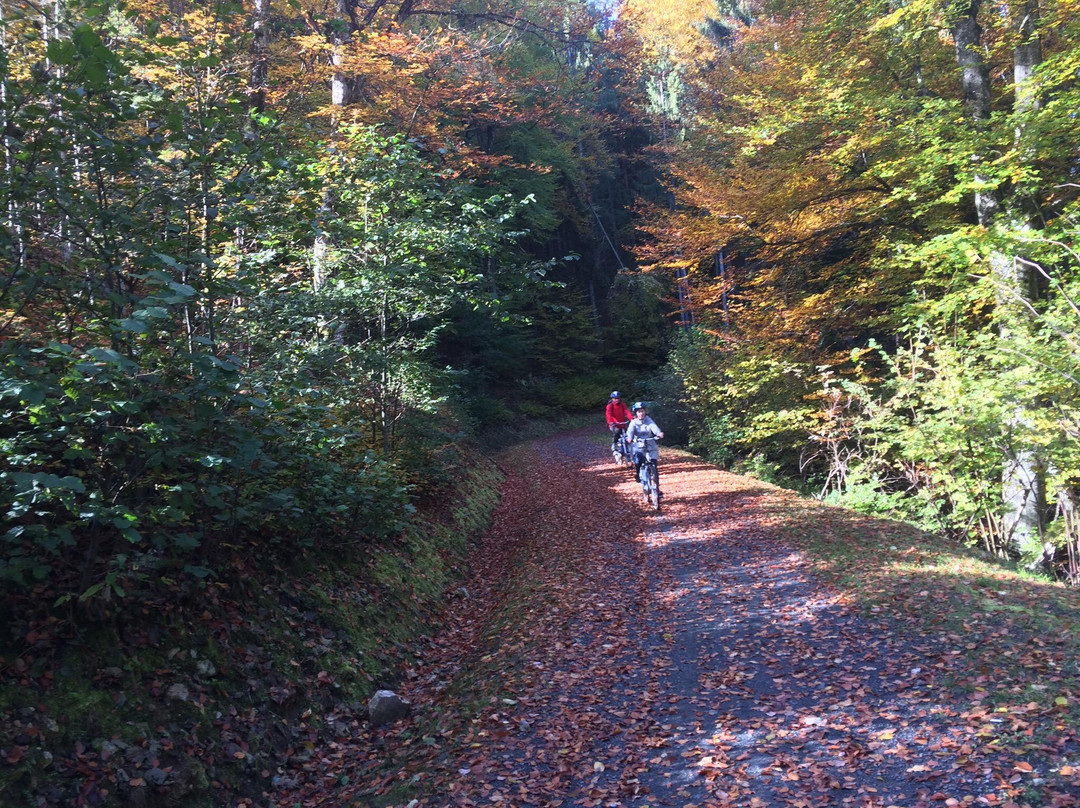 Mountainbikestation-Geführte M-Bike Touren-米尔地必去景点