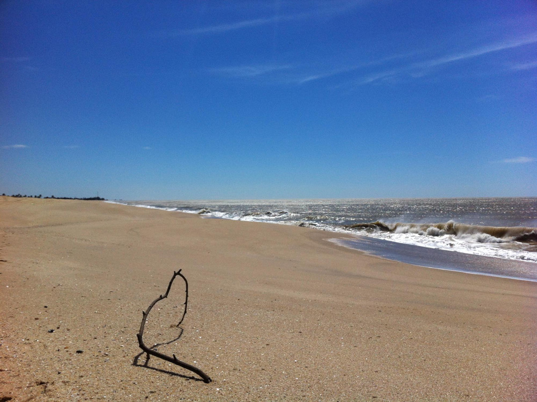 Joao Francisco Beach-Quissama必去景点
