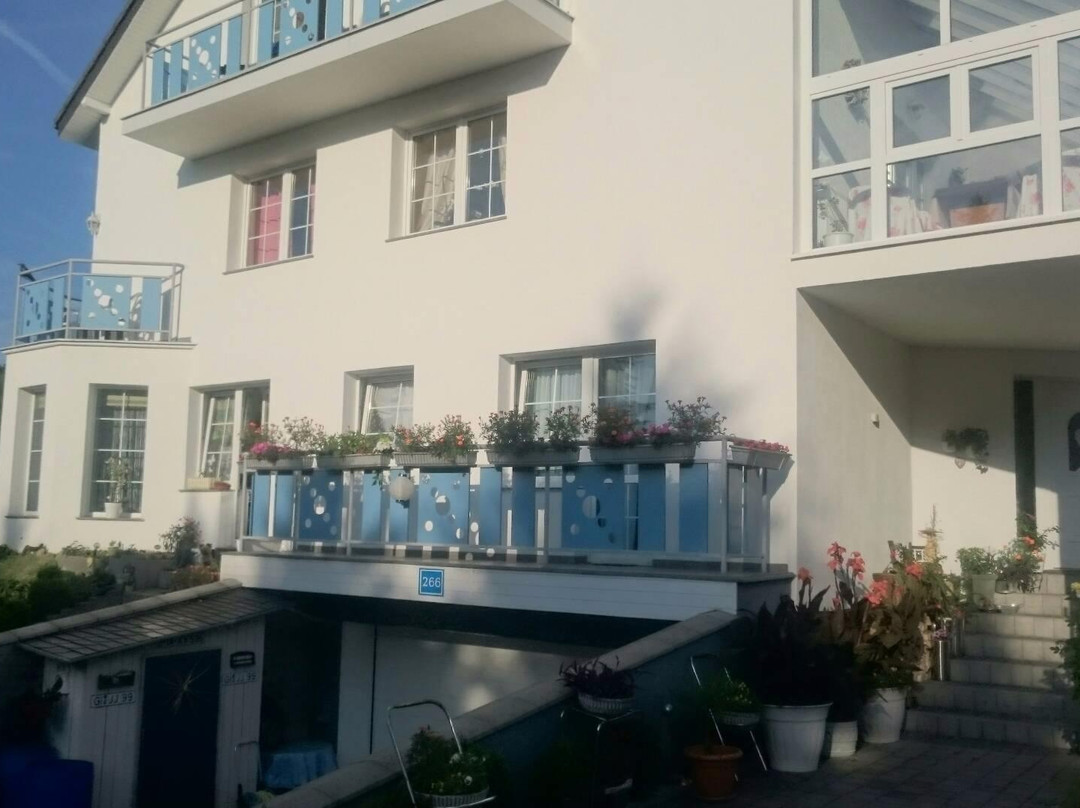 Benesov nad Ploucnici酒店住宿-Pension Residenz Iva