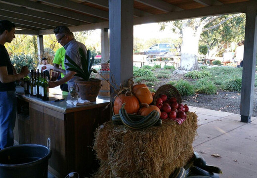 Santa Ynez Wine Trail-圣伊内斯必去景点