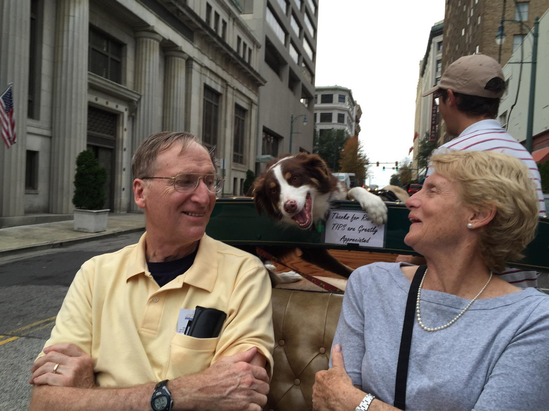 Carriage Tours of Memphis-孟菲斯必去景点