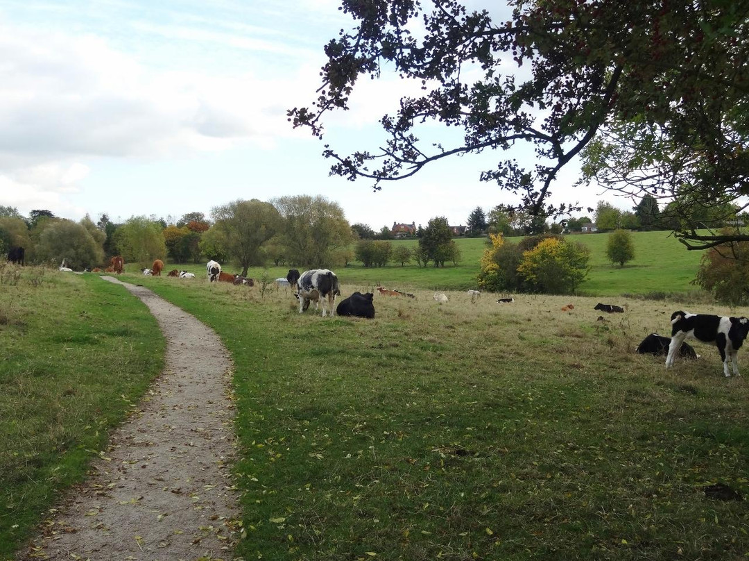 Holy Well Walk-Southam必去景点