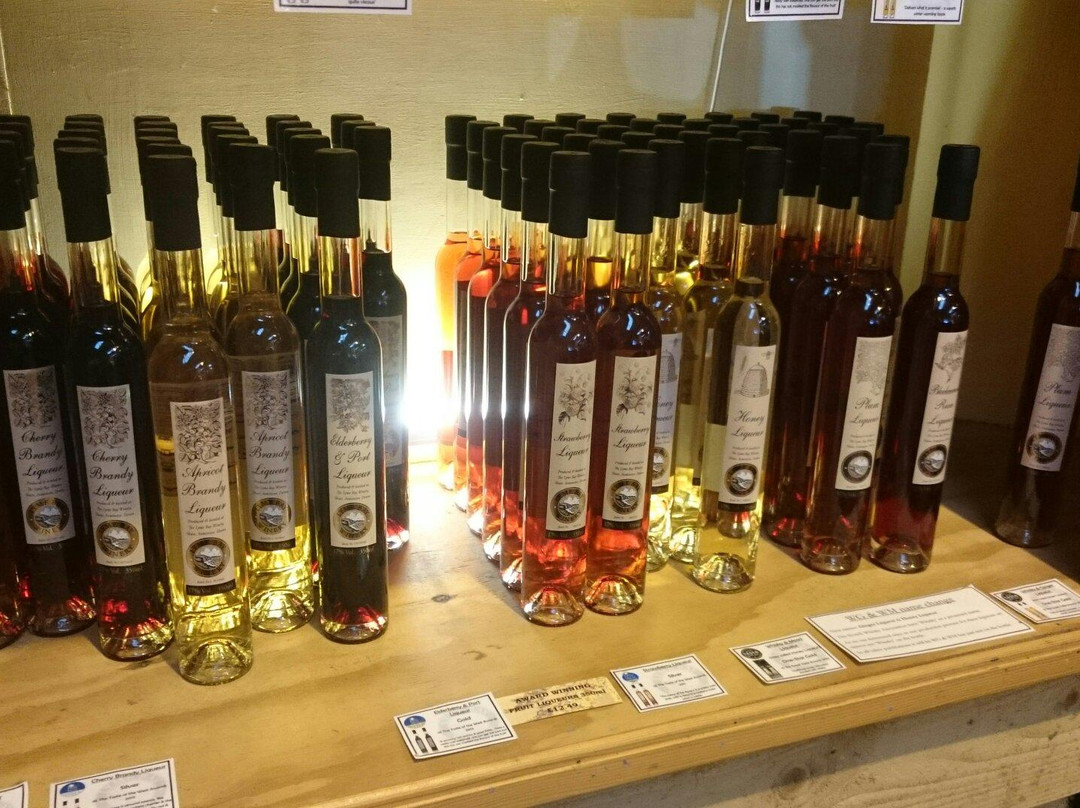 Lyme Bay Winery-Axminster必去景点