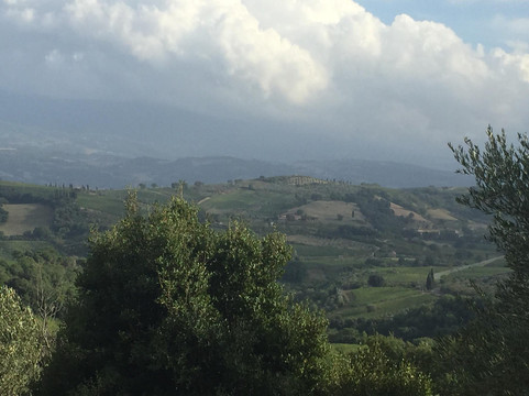 San Polino Winery-蒙塔尔奇诺必去景点