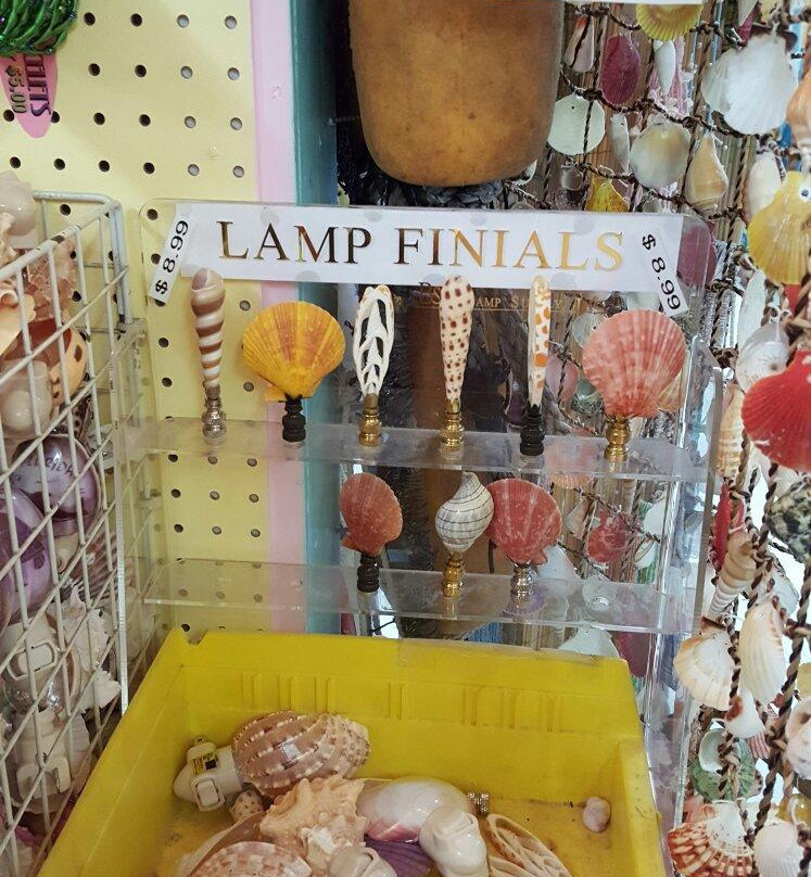 The Florida Shell Shop-特雷热岛必去景点