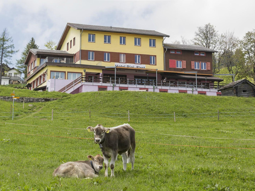 Hotel Rigi First主图