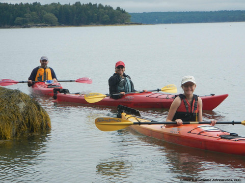 Alice's Awesome Adventures-不伦瑞克必去景点