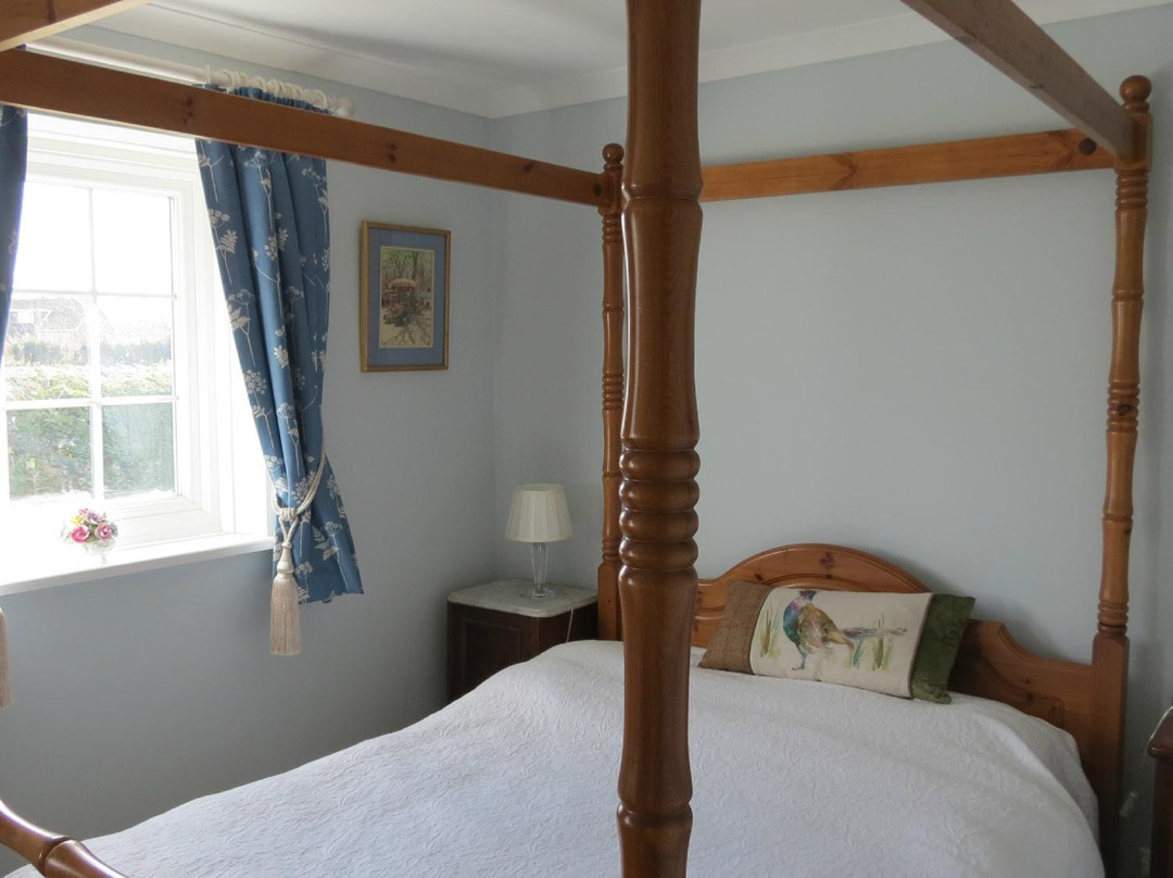 Newmans Lodge B&B主图