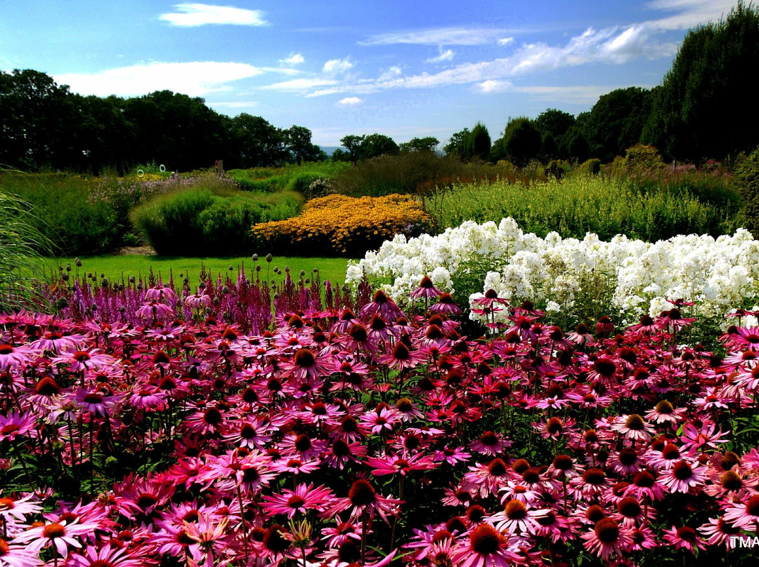 Sussex Prairies Garden景点图片