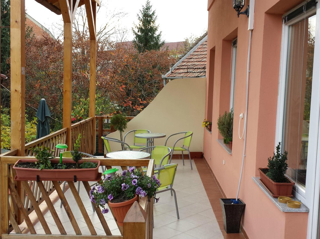 Kubekhaza酒店住宿-Aquarius Vendeghaz