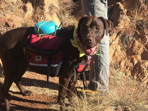 Rock-About Climbing Adventures-奥斯丁必去景点
