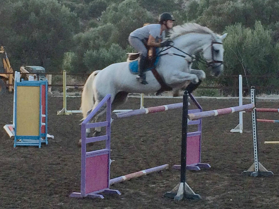 Equestrian Training Center of Rhodes-Ialysos必去景点