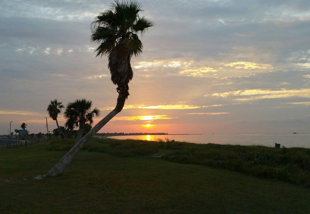 Rockport Art Center-罗克波特必去景点