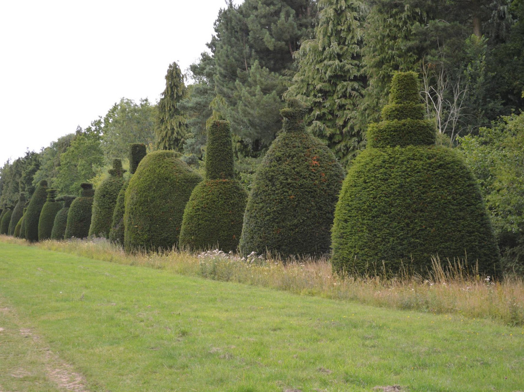 Yew Tree Avenue-Clipsham必去景点
