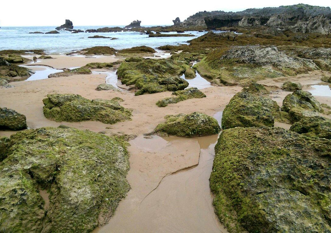 Playa de Ris-Noja必去景点