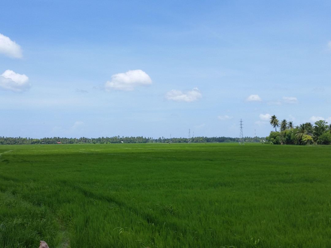 蒂瑟默哈拉默湖-蒂瑟默哈拉默必去景点