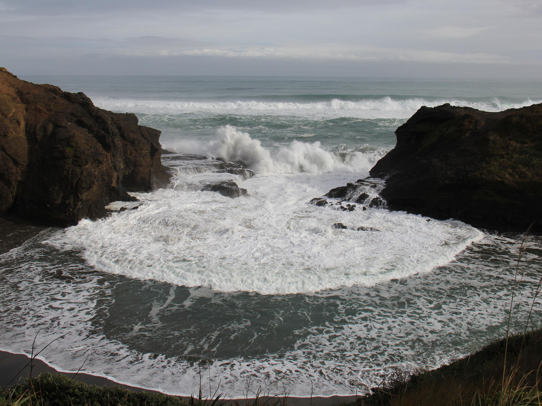 Auckland Photography Tours-奥克兰中心地区必去景点