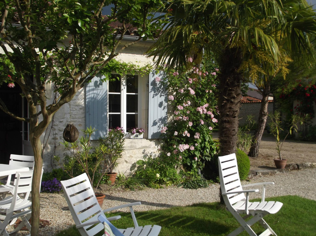 Coulonges旅游攻略图片