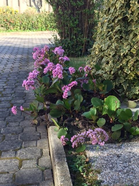 法拉利住宿加早餐别墅主图