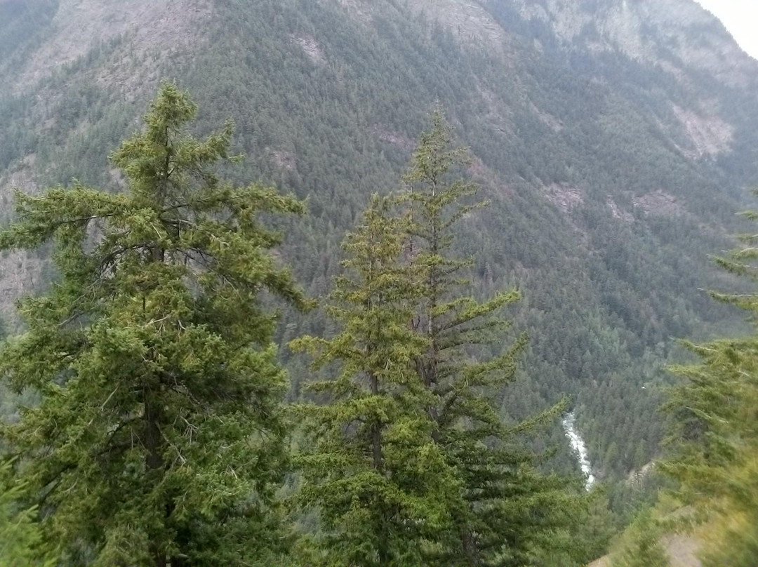 Duffey Lake景点图片