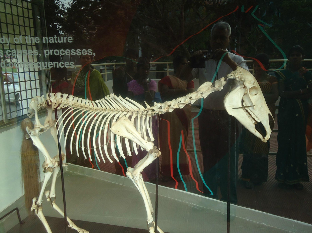 Museum of Anatomy & Pathology景点图片