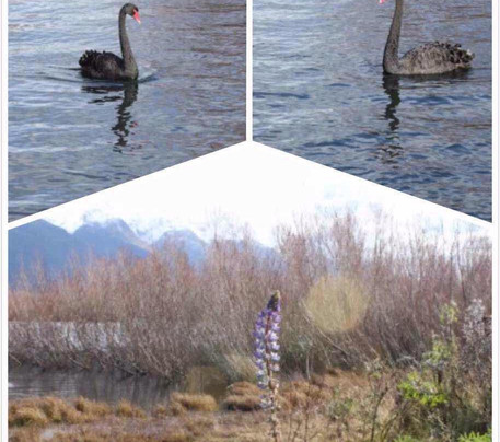 泄湖步行走道-格伦诺基必去景点