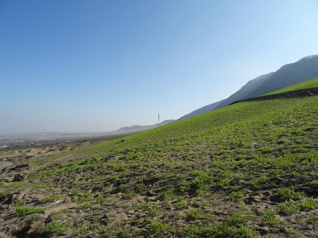 Quebrada de la Chimba Reserva Nacional-安托法加斯塔必去景点