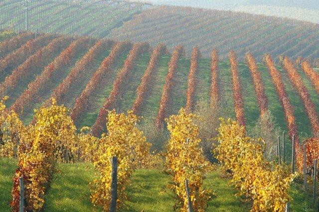 Tre Secoli sca - Viticoltori in Piemonte dal 1887景点图片