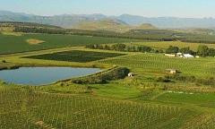 Cathedral Peak Wine Estate-温特顿必去景点