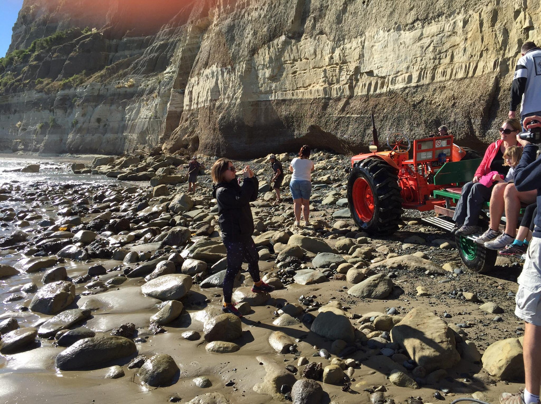 Gannet Beach Adventures景点图片