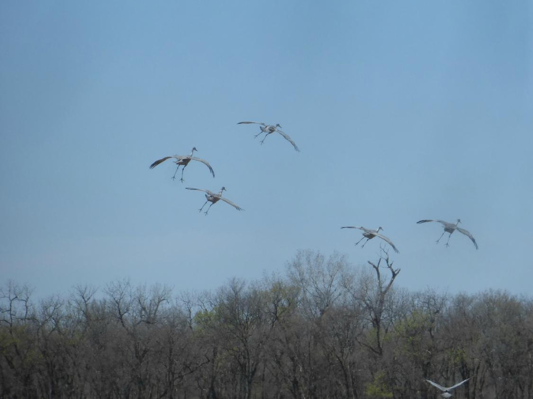 Platte River-格兰德岛必去景点