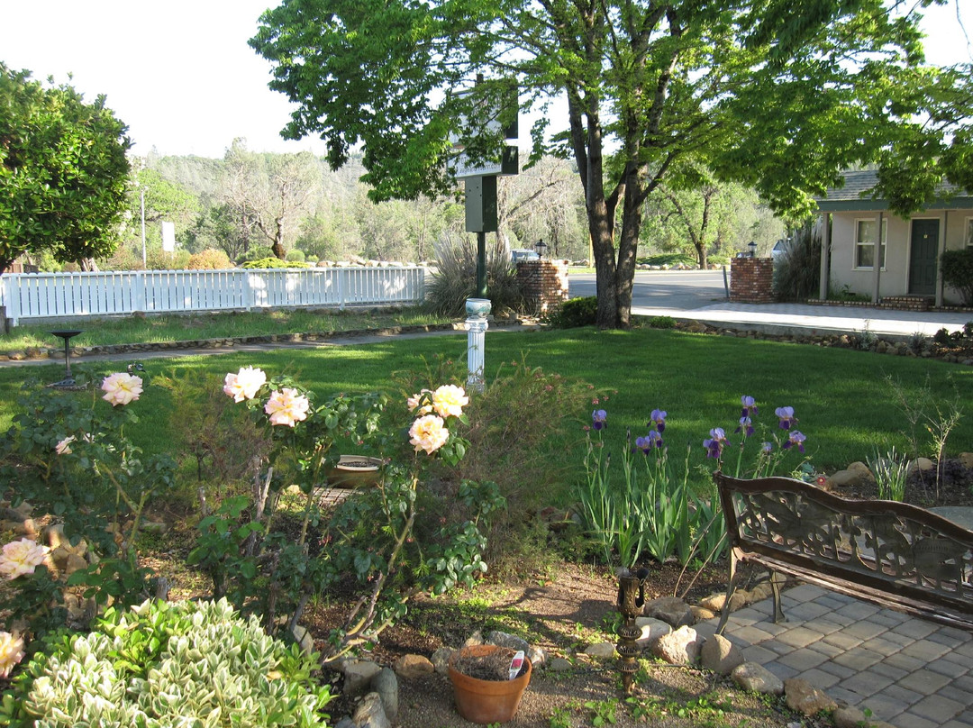 Eagle & Rose Inn - Middletown主图