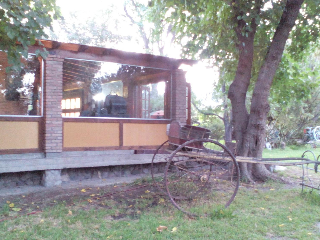 Museo Parque Coleccion Suero景点图片