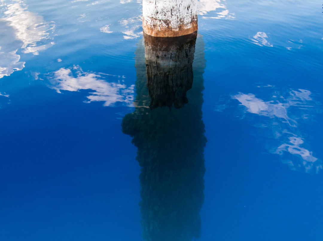 Crater Lake - Volcano Boat Tours-火山湖国家公园必去景点
