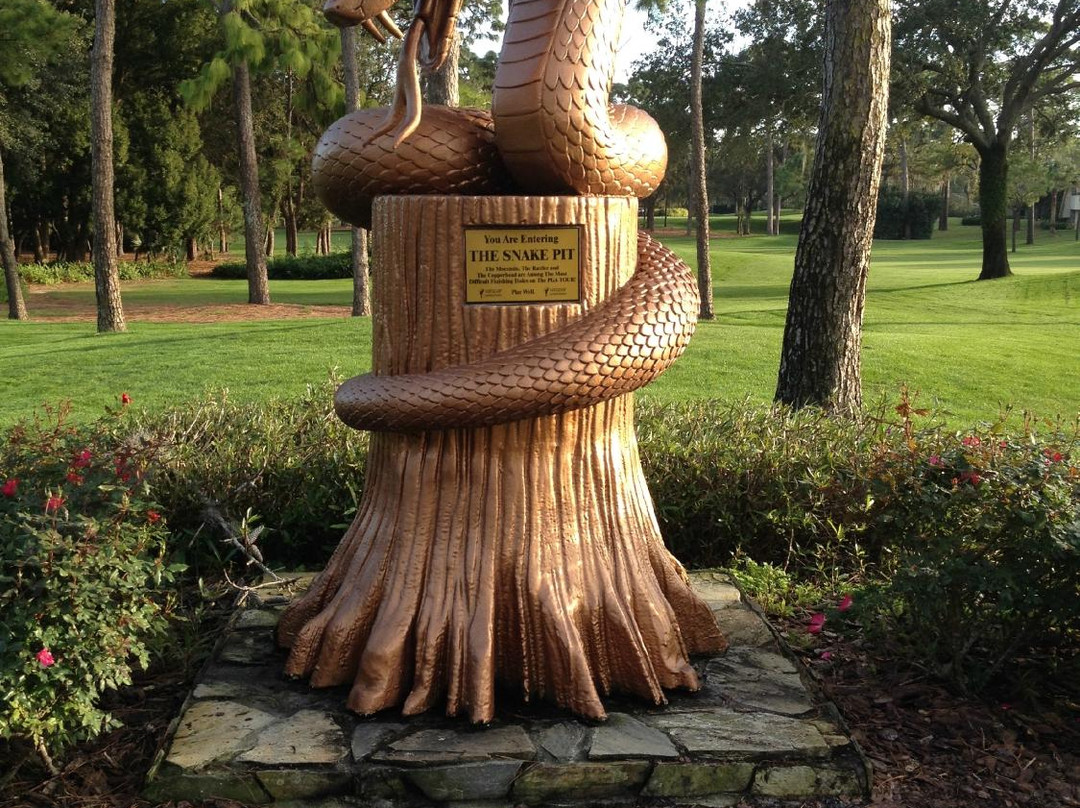 Innisbrook Golf Academy景点图片