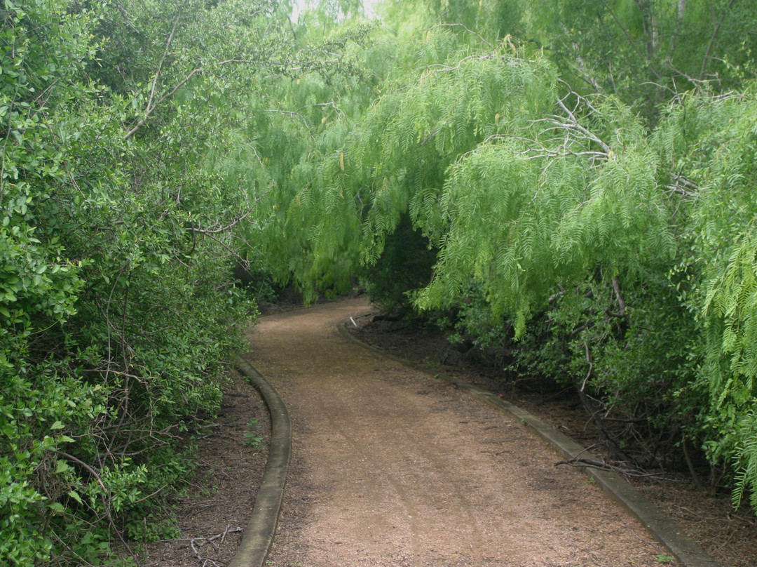 McAllen Nature Center-麦卡伦必去景点