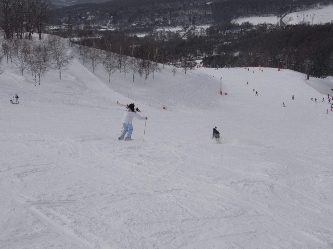 Shirakaba Highland International Ski Area-立科町必去景点