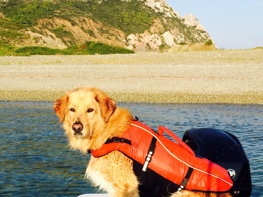 Aiolos Boats景点图片