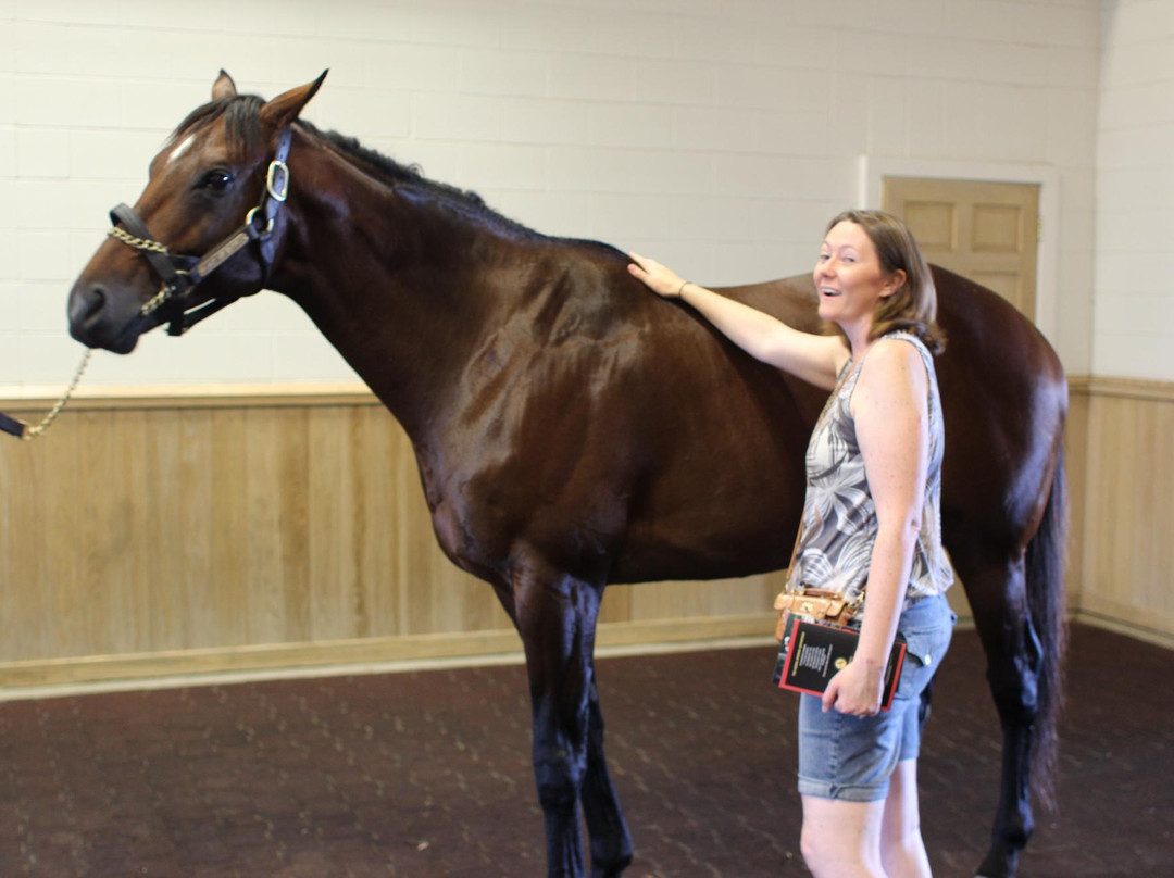UnBridled Horse Tours-Midway必去景点