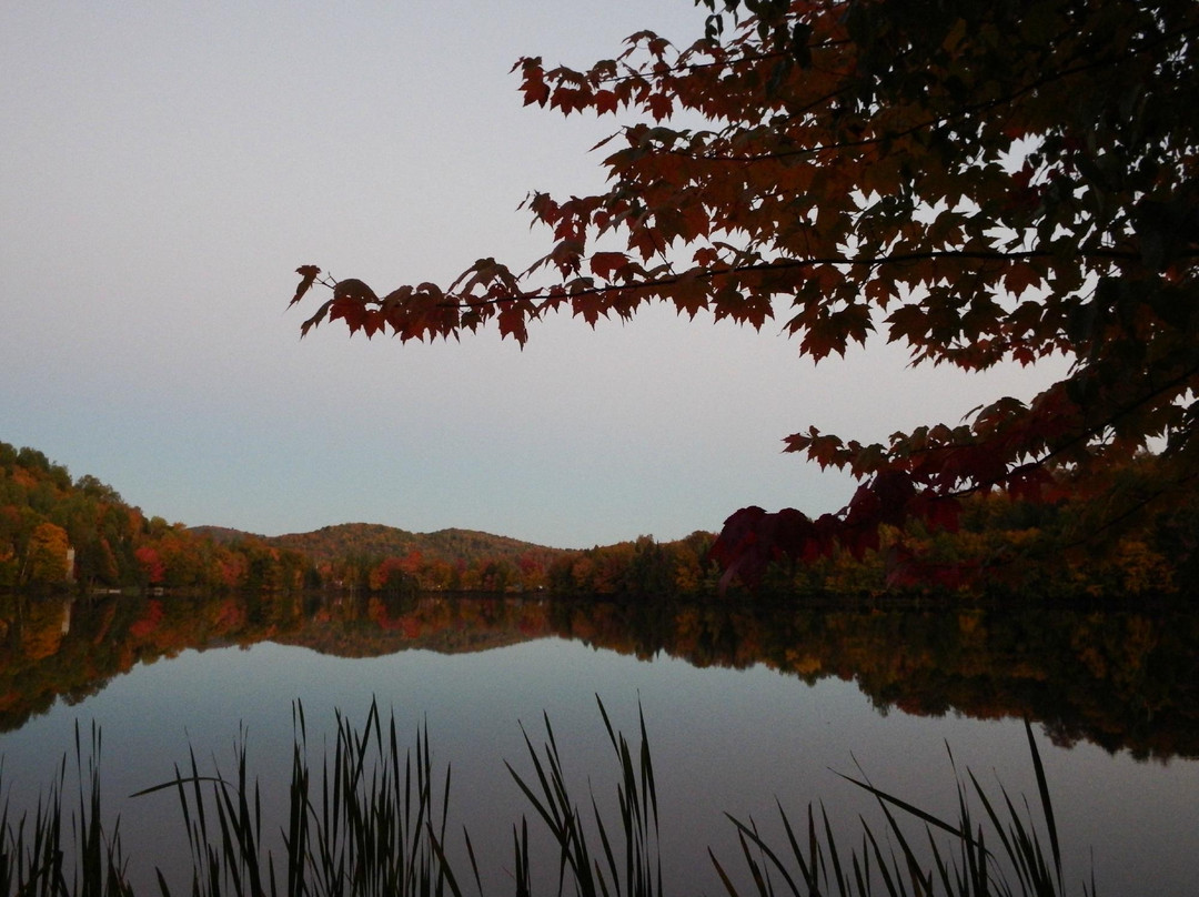 Auberge du Coq de Montagne主图