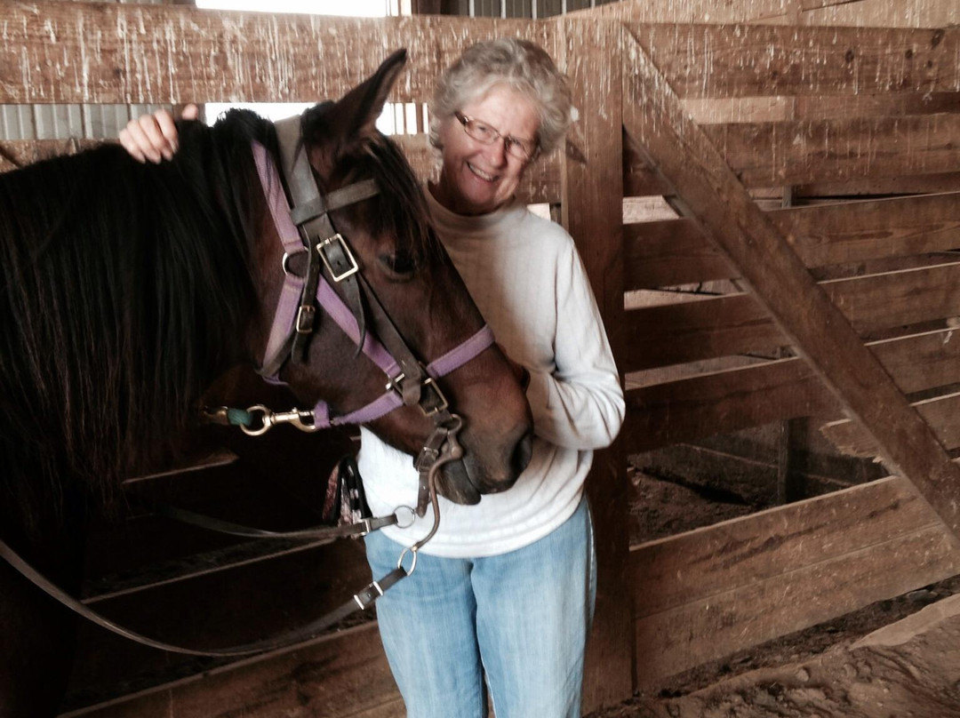 Star B Stables-斯汤顿必去景点